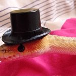 snake top hat