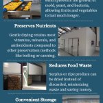 Vegetable And Fruit Dryer