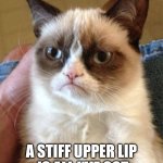 Starting from a good place | A STIFF UPPER LIP
 IS ALL I'VE GOT | image tagged in memes,grumpy cat,cats,stiff upper lip,stoic,how tough am i | made w/ Imgflip meme maker
