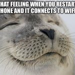 Satisfied Seal Meme | THAT FEELING WHEN YOU RESTART YOUR PHONE AND IT CONNECTS TO WIFI AGAIN | image tagged in memes,satisfied seal | made w/ Imgflip meme maker
