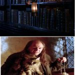 Restricted Section Harry Potter