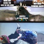 WHAT HERE IT IS | MOTHRA COMING BACK; KONG NOT BEING THE LAST OF HIS KIND; GODZILLA GETTING EVOLVED; GODZILLA GETTING EVOLVED; KONG GETTING A FRIEND BESIDES GODZILLA SHIMO | image tagged in harry potter and ron being chased by tom with an extra panel,godzilla | made w/ Imgflip meme maker