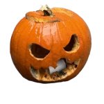 Wet Pumpkin from Falkenberg