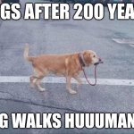 dog walking himself | DOGS AFTER 200 YEARS; DOG WALKS HUUUMANS? | image tagged in dog walking himself | made w/ Imgflip meme maker