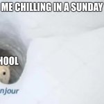 Bonjur | ME CHILLING IN A SUNDAY; THE SCHOOL | image tagged in bonjur | made w/ Imgflip meme maker