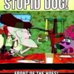 you stupid dog!