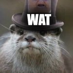 Watter we looking at