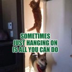 Sometimes all you can do is just hang on | SOMETIMES JUST HANGING ON IS ALL YOU CAN DO | image tagged in hanging on,autism,hope,never give up | made w/ Imgflip meme maker