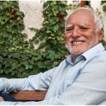 Hide the pain Memist