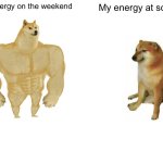 Buff Doge vs. Cheems | My energy on the weekend; My energy at school | image tagged in memes,buff doge vs cheems | made w/ Imgflip meme maker
