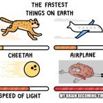 **Yawn** | MY BRAIN BECOMING TIRED | image tagged in fastest thing on earth | made w/ Imgflip meme maker