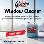 Window Cleaner  