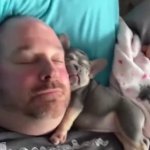 guy and puppy asleep template