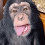 Monkey wiggelign tongue GIF Template