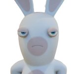 Rabbid sybau