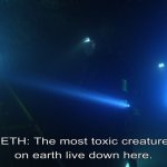 The most toxic creatures are down here