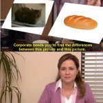 Cat and Bread | image tagged in memes,they're the same picture,cat memes | made w/ Imgflip meme maker