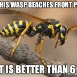 i don’t like 67 | IF THIS WASP REACHES FRONT PAGE; IT IS BETTER THAN 6 7 | image tagged in wasp,memes,6 7 is bad | made w/ Imgflip meme maker
