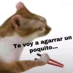 te voy a agarrar un poquito gato