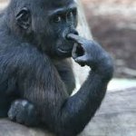 Thank you for being my friend