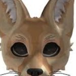 Fox mask!