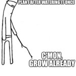 Nothing better to do. | ME STARING AT MY PLANT AFTER WATERING IT ONCE; C'MON, GROW ALREADY | image tagged in c'mon do something,plants | made w/ Imgflip meme maker