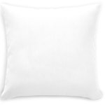 Throw Pillow template