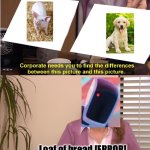 Dog pig dog pig loaf of bread (those who know) | Loaf of bread [ERROR] | image tagged in memes,they're the same picture | made w/ Imgflip meme maker