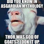 goat | DID YOU KNOW IN ASGARDIAN MYTHOLOGY; THOR WAS GOD OF GOATS? LOOK IT UP. | image tagged in goat | made w/ Imgflip meme maker