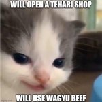 stonks business idea | WILL OPEN A TEHARI SHOP; WILL USE WAGYU BEEF | image tagged in hehe cat | made w/ Imgflip meme maker