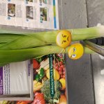 Serious Leeks meme