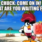Have a Drink with Chuck! | CHUCK: COME ON IN! WHAT ARE YOU WAITING FOR? | image tagged in beachpeace,chuck chicken | made w/ Imgflip meme maker