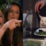 Woman argues with cat