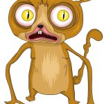 Asher 12345 template