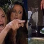 woman yelling at cat | image tagged in woman yelling at cat | made w/ Imgflip meme maker