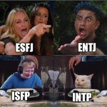 MBTI Inverted Type Feels | ENTJ; ESFJ; ISFP; INTP | image tagged in girl pointing at cat crossover meme,esfj,entj,intp,isfp,mbti | made w/ Imgflip meme maker