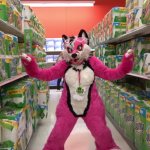 PinkGeminiHusky in an aisle of Bounty paper towel thingys
