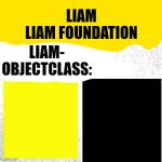 Liam Euclid empty label