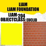 Liam-204
