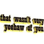 That Wasn't Very Yeehaw of You