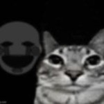 puppet behind cat meme