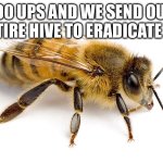 Bee | 100 UPS AND WE SEND OUR ENTIRE HIVE TO ERADICATE 6 7 | image tagged in bee,6 7,unfunny | made w/ Imgflip meme maker