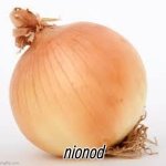 Onion | nionod | image tagged in onion | made w/ Imgflip meme maker