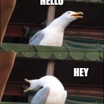 Hey, how are you? | OH HELLO THERE; HELLO; HEY; HEY HOW ARE YOU | image tagged in memes,inhaling seagull,funny | made w/ Imgflip meme maker
