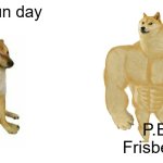 -_- | P.E on run day; P.E. on Frisbee day | image tagged in swole doge vs cheems flipped | made w/ Imgflip meme maker