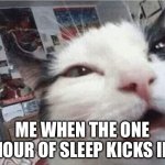 Cat waking up | ME WHEN THE ONE HOUR OF SLEEP KICKS IN | image tagged in cat waking up | made w/ Imgflip meme maker