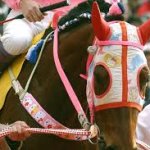 hello kitty mask horse meme