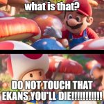 ekans | what is that? DO NOT TOUCH THAT EKANS YOU'LL DIE!!!!!!!!!!! | image tagged in don t touch that you ll die,snake,ekans,mario,toad | made w/ Imgflip meme maker