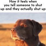 Serenity achieved. | How it feels when you tell someone to shut up and they actually shut up | image tagged in blissful dog,memes,dogs,w,sybau,winning | made w/ Imgflip meme maker
