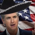 Gavin Newsom Sombrero bro